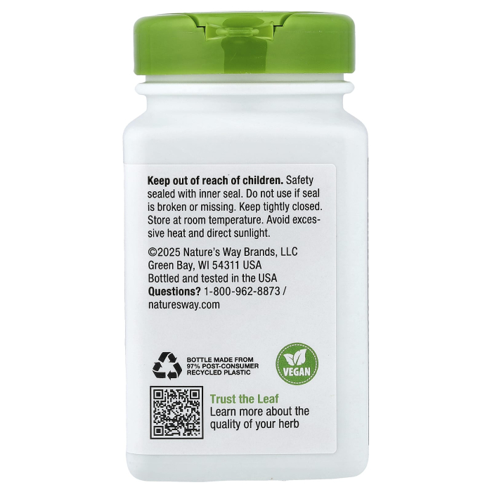 black-elderberry-natures-way [3]