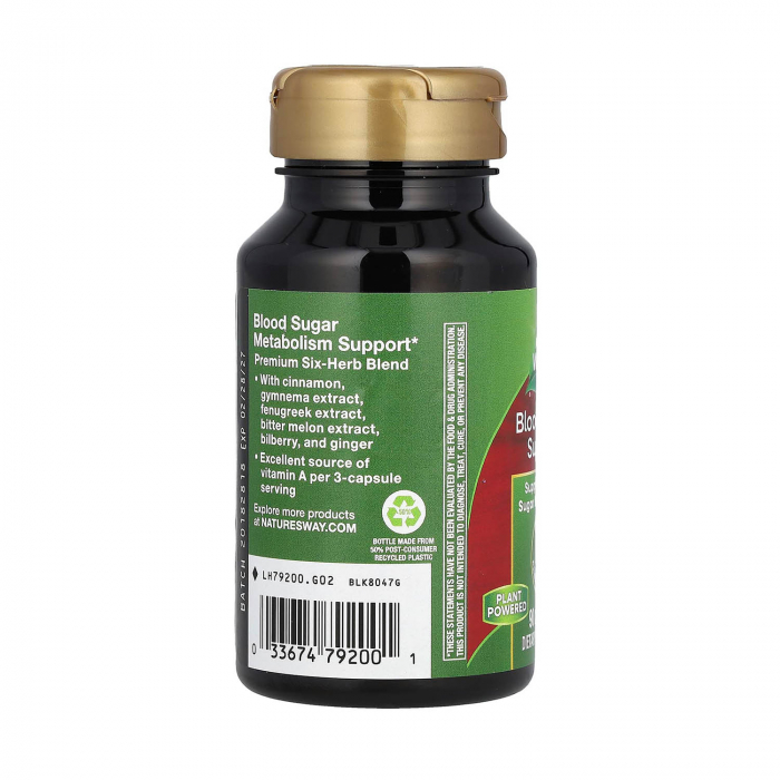 blood-sugar-support-natures-way [3]