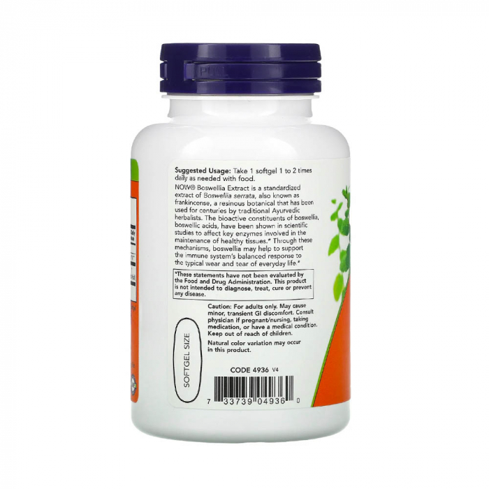boswellia-extract-now-foods [2]