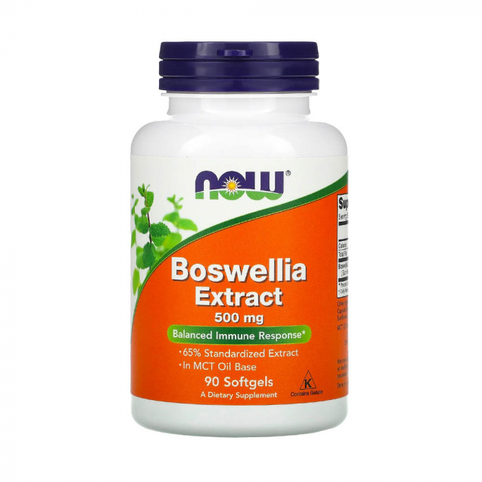 boswellia-extract-now-foods [1]