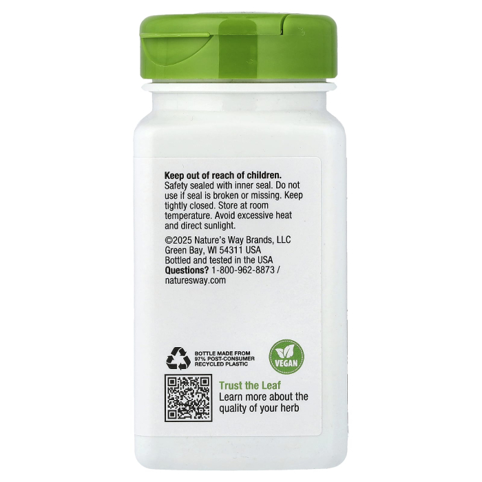 vitex-fruit-natures-way [3]