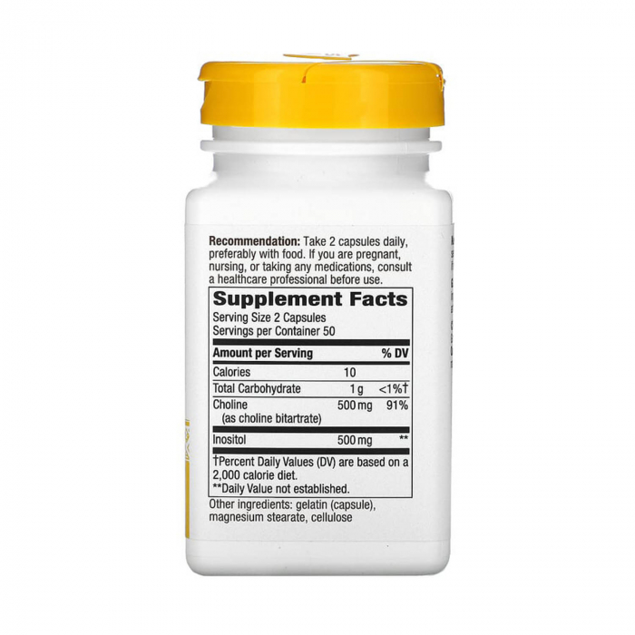 choline-inositol-natures-way [2]
