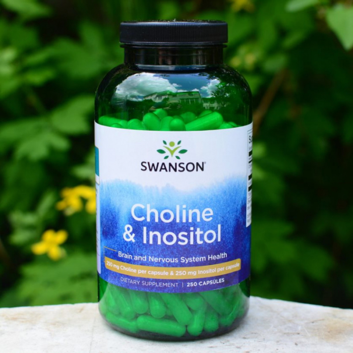 choline-inositol-250mg-swanson [4]