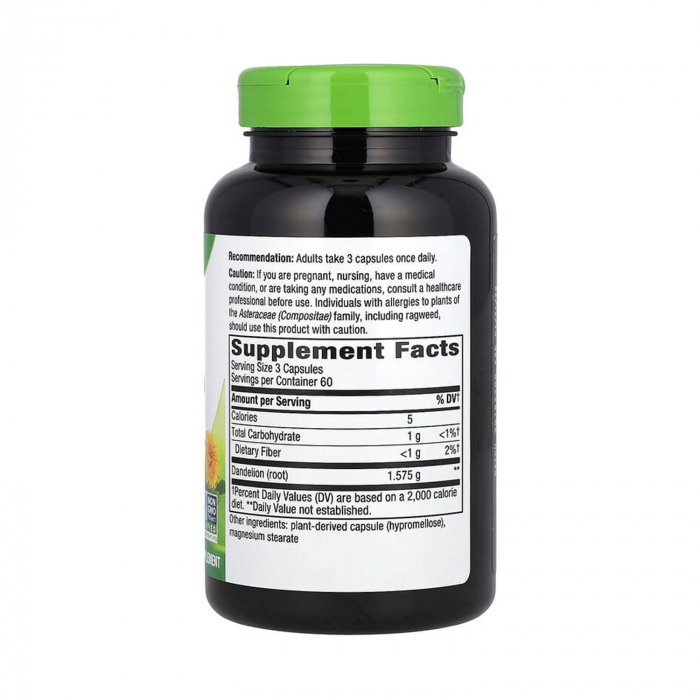 dandelion-root-natures-way [2]