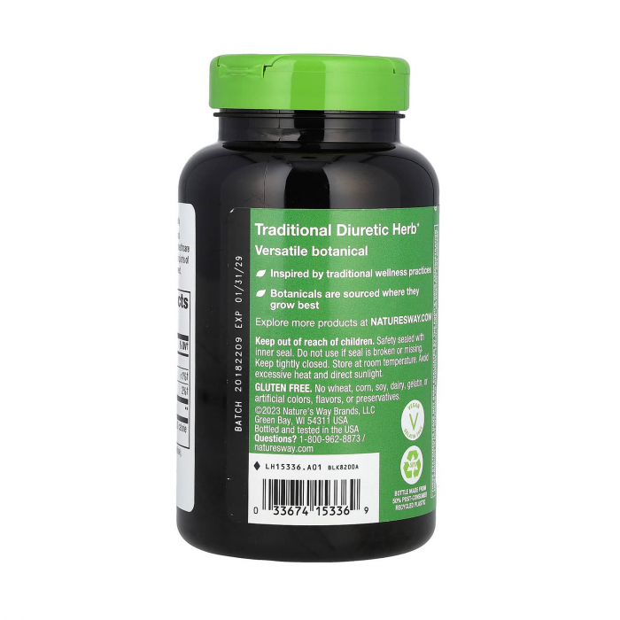 dandelion-root-natures-way [3]