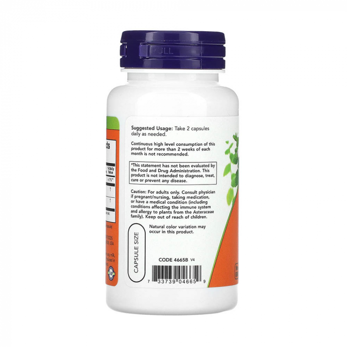 echinacea-goldenseal-root-now-foods [3]