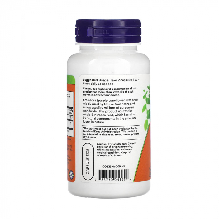 echinacea-root-400mg-now-foods [3]