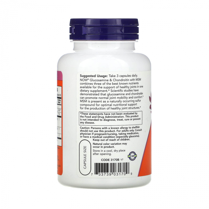 glucosamine-chondroitin-msm-now-foods [3]