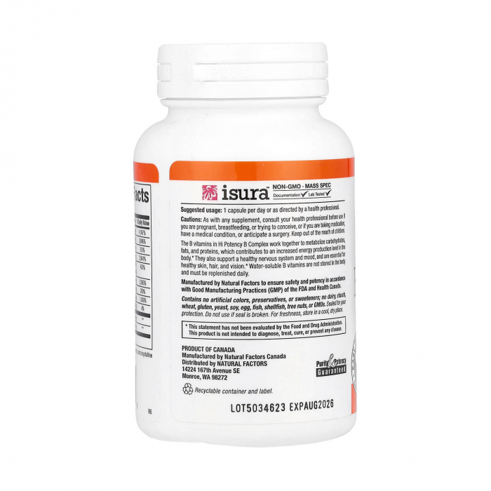 hi-potency-b-complex-natural-factors [3]