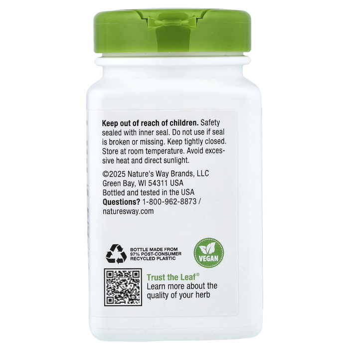 horsetail-grass-natures-way [3]