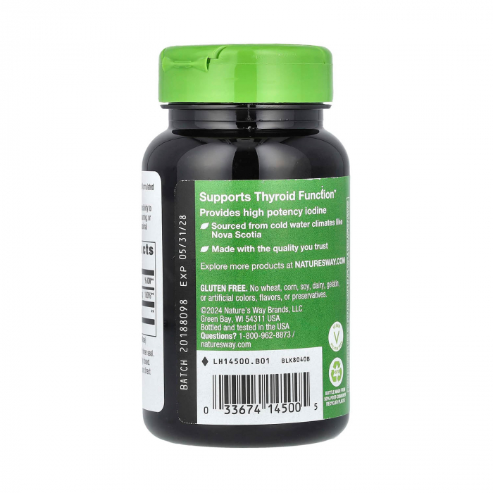 kelp-whole-thallus-natures-way [3]
