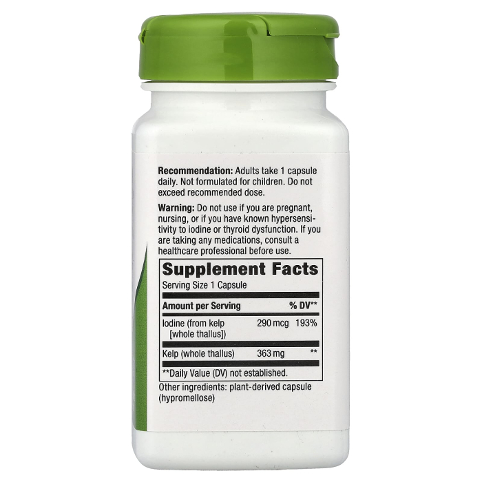 kelp-whole-thallus-natures-way [2]