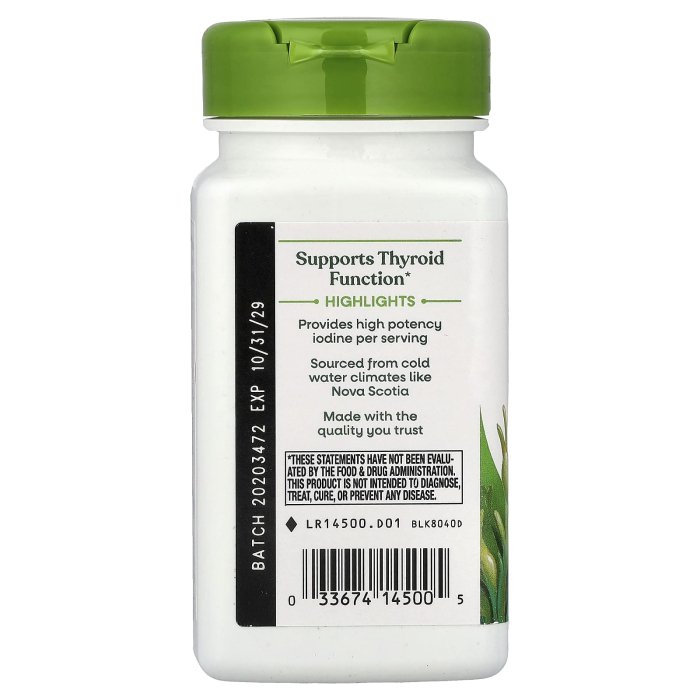 kelp-whole-thallus-natures-way [4]