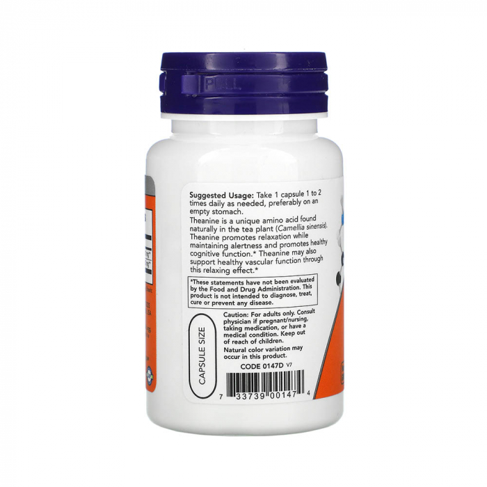 l-theanine-with-inositol-now-foods [2]