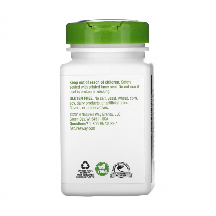 melissa-lemon-balm-leaf-natures-way [3]