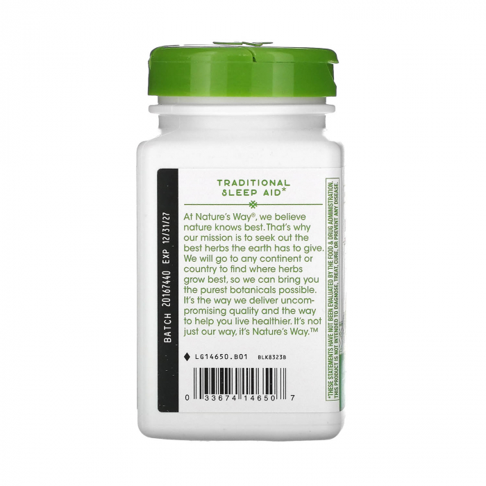 melissa-lemon-balm-leaf-natures-way [4]