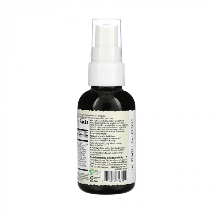 mykind-organics-b12-spray-garden-of-life [6]