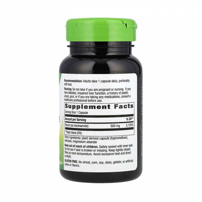 niacinamide-non-flushing-natures-way [2]
