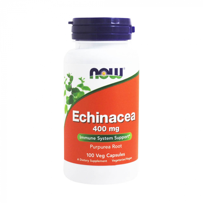 echinacea-root-400mg-now-foods [1]