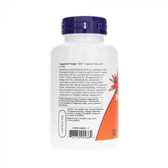 pantothenic-acid-now-foods [2]