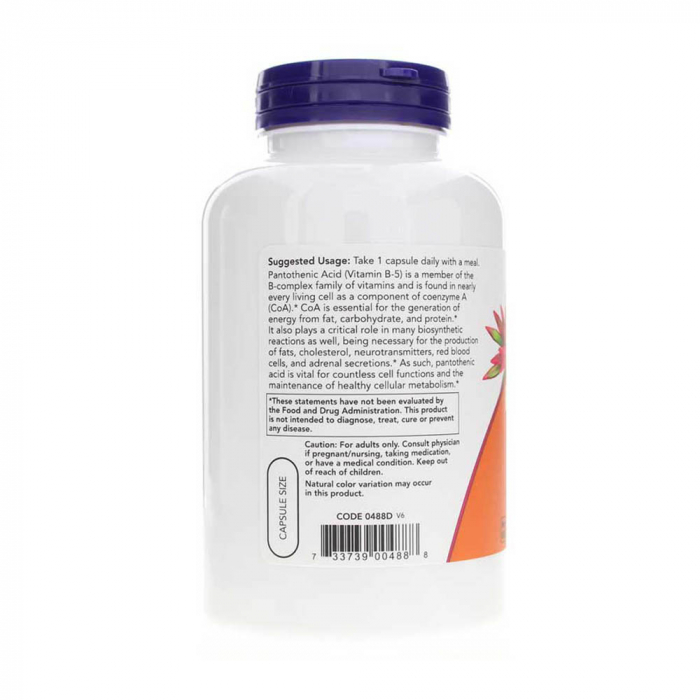 pantothenic-acid-now-foods [3]