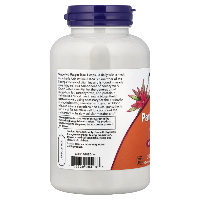 pantothenic-acid-now-foods [3]