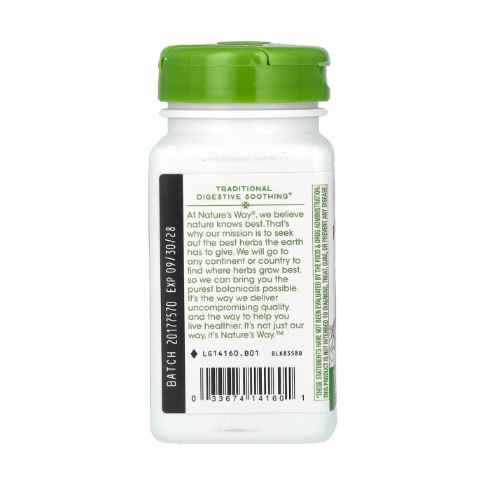 peppermint-leaf-natures-way [4]