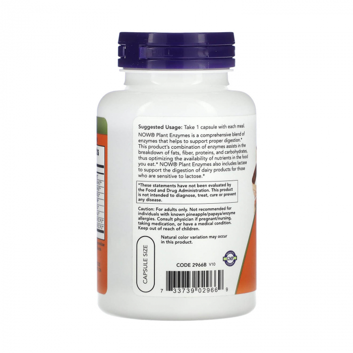 plant-enzymes-now-foods [3]
