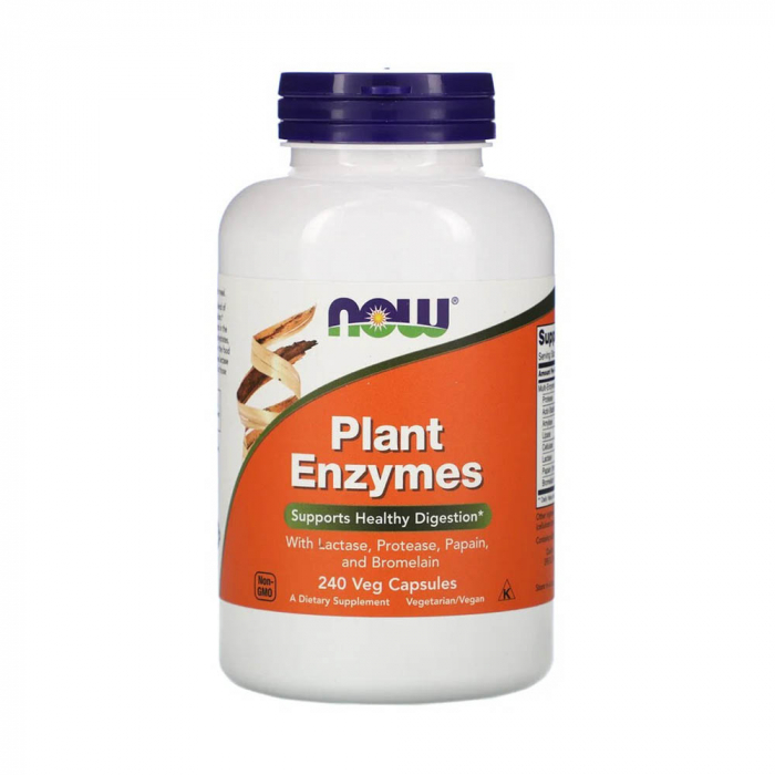 plant-enzymes-now-foods [1]