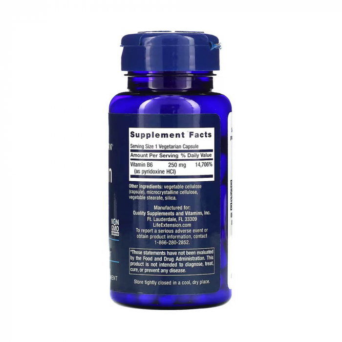 vitamin-b6-life-extension [2]
