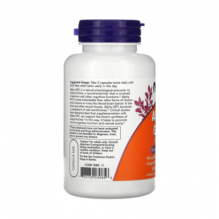 alpha-gpc-300mg-now-foods [1]