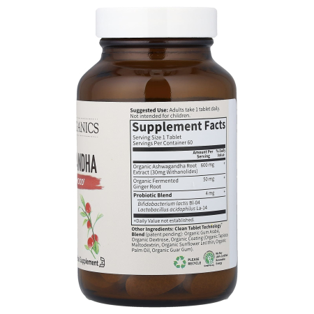 ashwagandha-stress-mood-garden-of-life [3]