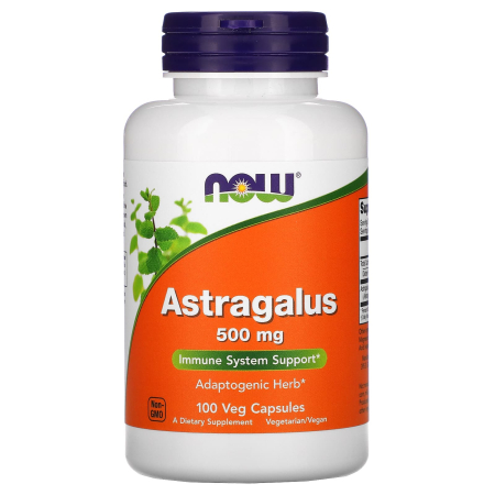 Supplements from A to Z - astragalus-500mg-now-foods