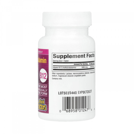 b12-methylcobalamin-natural-factors [4]