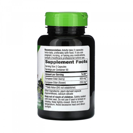 black-elderberry-natures-way [1]