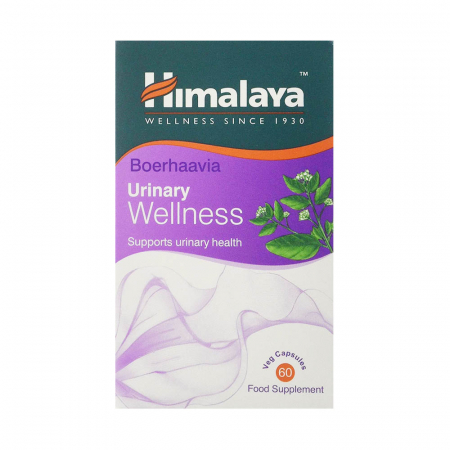 boerhaavia-punarnava-himalaya [1]
