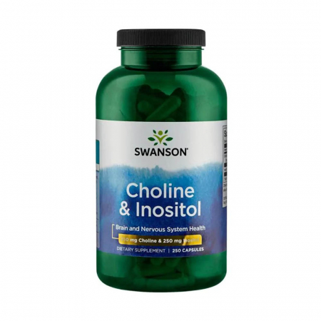 choline-inositol-250mg-swanson [0]