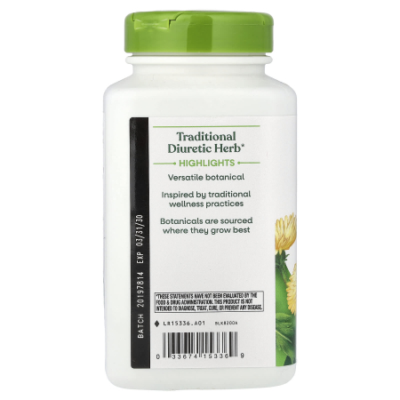 dandelion-root-natures-way [3]