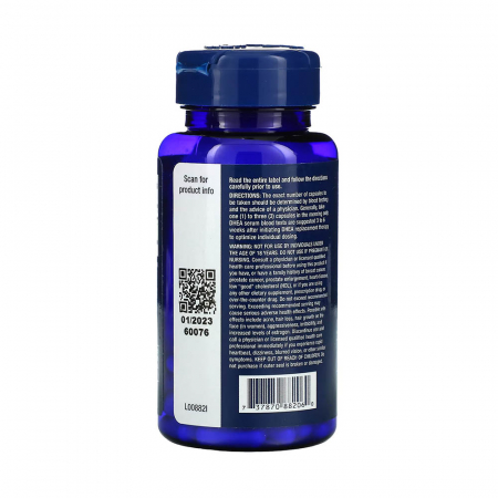 dhea-life-extension [2]