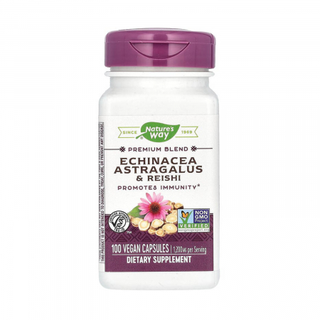 Echinacea - echinacea-astragalus-reishi-natures-way