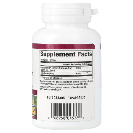 grape-seed-extract-natural-factors [1]