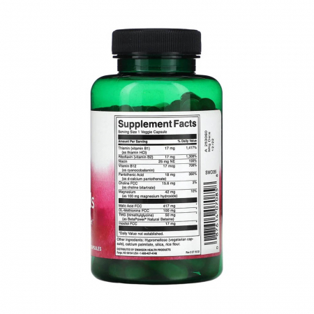 fibro-essentials-swanson [1]