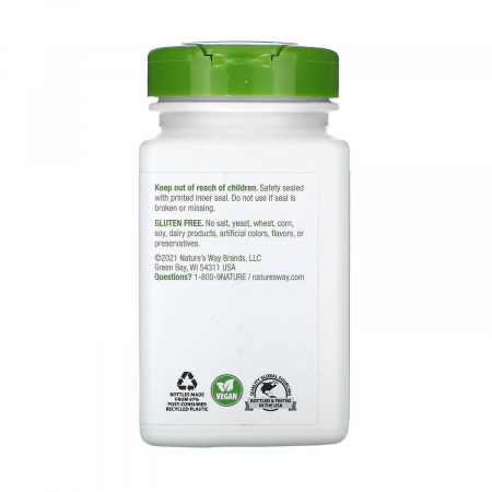 ginger-root-natures-way [2]