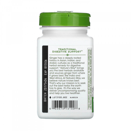 ginger-root-natures-way [3]