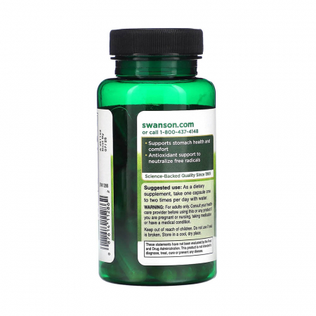 ginger-turmeric-300mg-swanson [2]