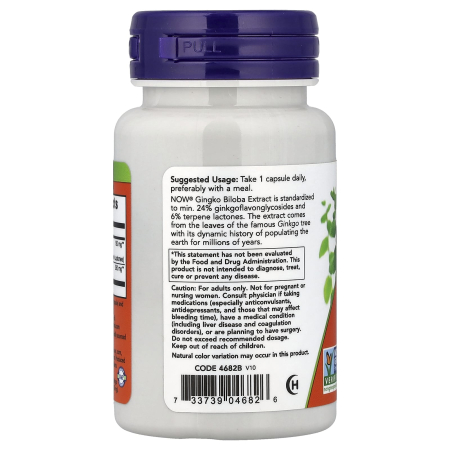 ginkgo-biloba-120-now-foods [2]