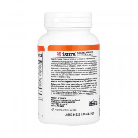 hi-potency-b-complex-natural-factors [2]