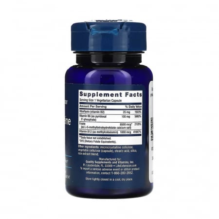 homocysteine-resist-life-extension [1]