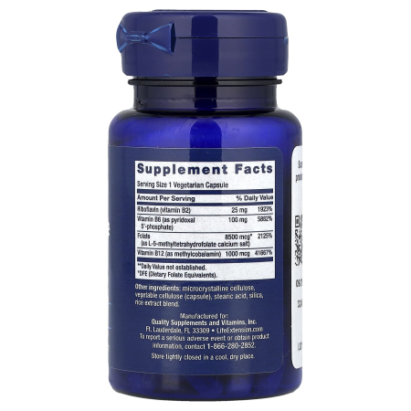 homocysteine-resist-life-extension [1]