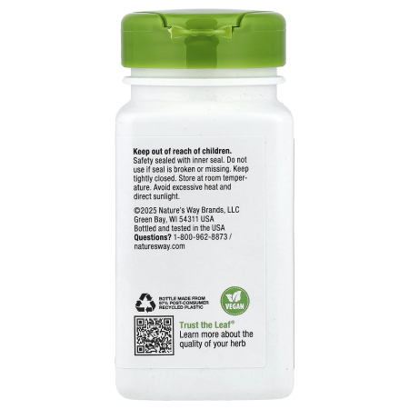 hops-flowers-natures-way [2]